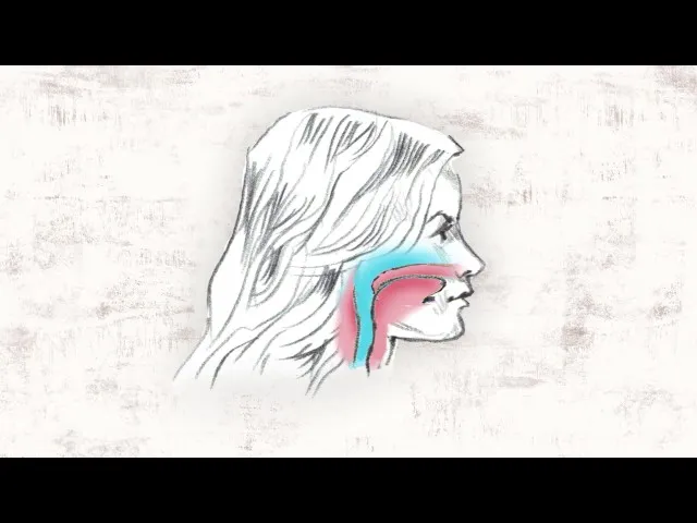 The Story of Headgear